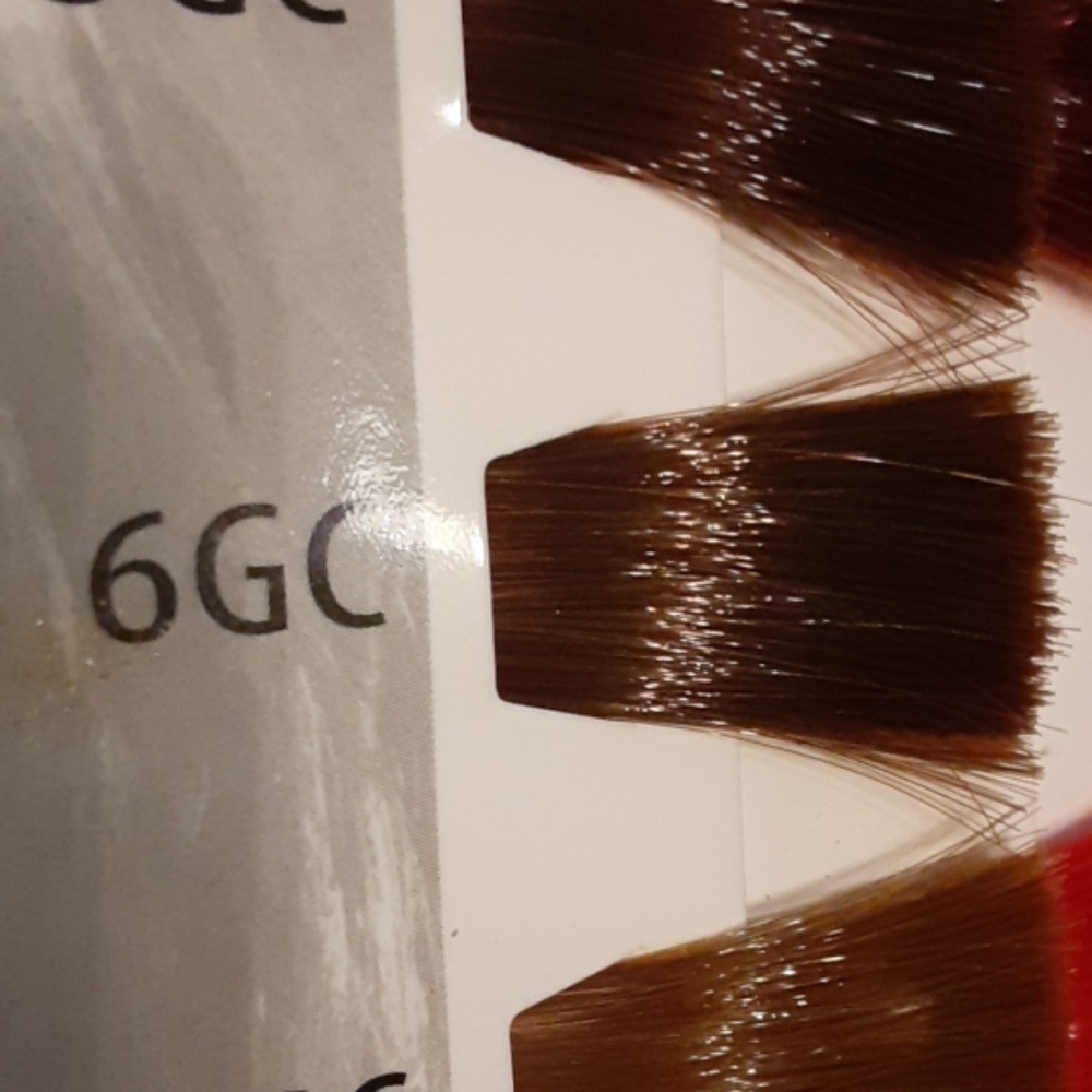 ☆ 6GC Dark Golden Copper Cream Color
